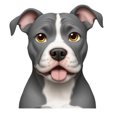 Grey pitbull Planung with a Maine Coon sticker