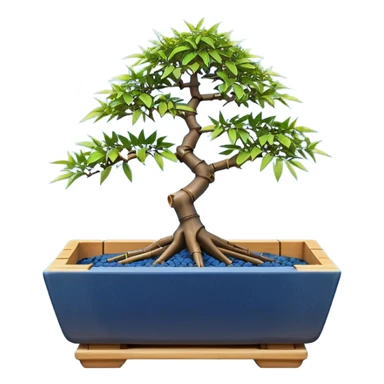 Japanese broken trapezoidal-shaped shallow dark bamboo blue maple tree bonsai pot sticker