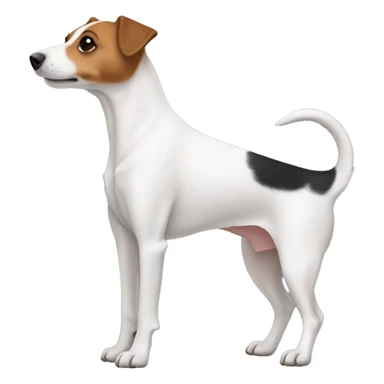 Jackrussell body side sticker