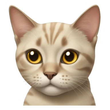 cat with name tag named charlie sticker