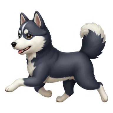 a black and white husky dog running towards the left sticker