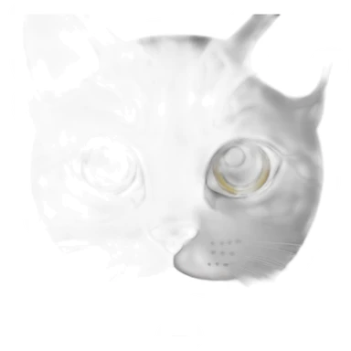 Cat with heterochromia  sticker