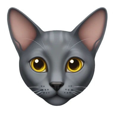 Korat cat sticker