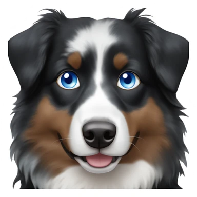 Black tri Australian shepherd with ice blue eyes sticker