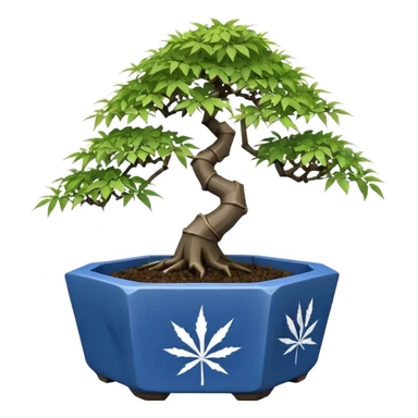 Japanese broken 35 side polyhedron-shaped shallow dark bamboo blue maple tree bonsai pot sticker