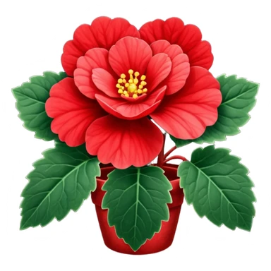 super realistic red begonia sticker