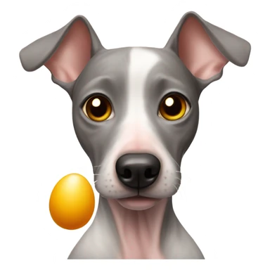 American Hairless Terrier eating Boiled egg sticker