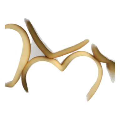 Heart shaped sugar cookie with white frosting sticker