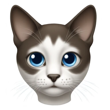 Snowshoe cat with small white patch on left side by nose, dark face and blue eyes sticker