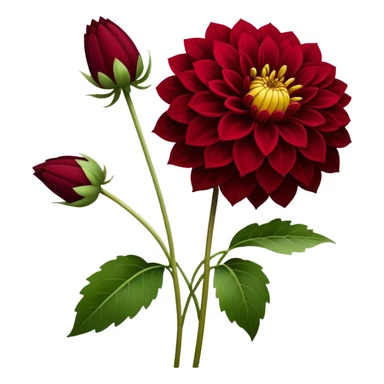 single Dahlia, straight stem sticker