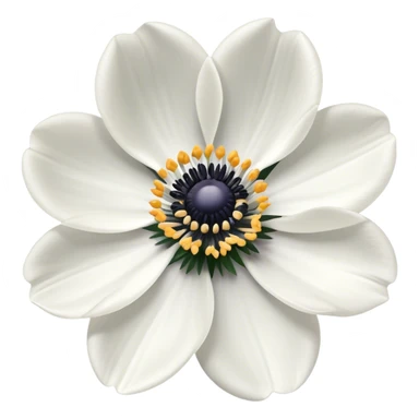 Anemone Flower  sticker