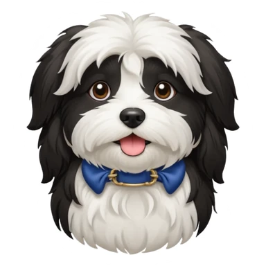 havanese female dog black and white sticker