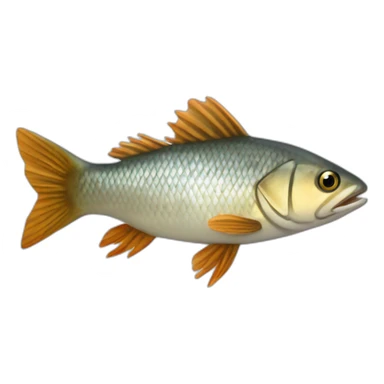 Latvian coin fish lats sticker
