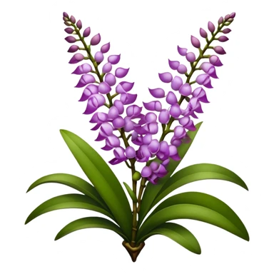 super big bouquet Rhynchostylis Orchid, stem, leaf sticker