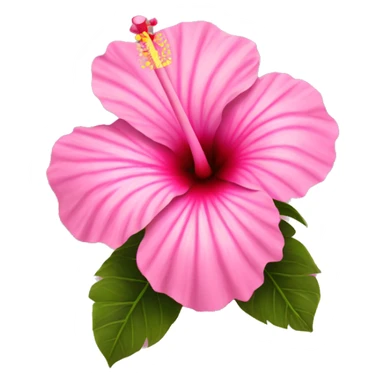 hibiscus flower pink sticker