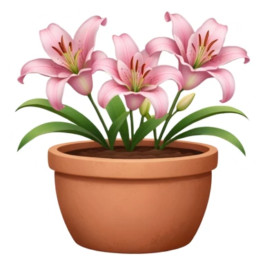 light pink lily flowers in a clay pot sticker