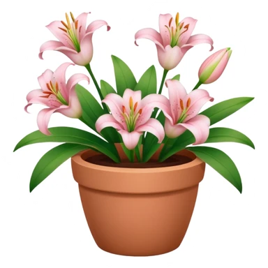 light pink lily flowers in a clay pot sticker