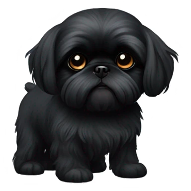 All black Black shih tzu on back sticker