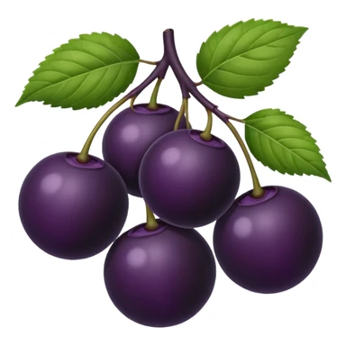 Black elderberry  sticker