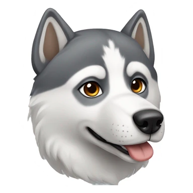 Husky White and grey with brown eyes  sticker