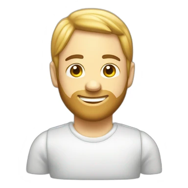 2004 White toyota tundra sticker