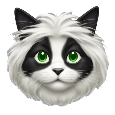 scottish long-haired black and white cat with green eyes sticker