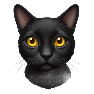black lop-eared cat with yellow eyes sticker