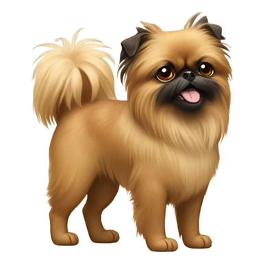 Happy Brussels Griffon mixed with Pomeranian sticker