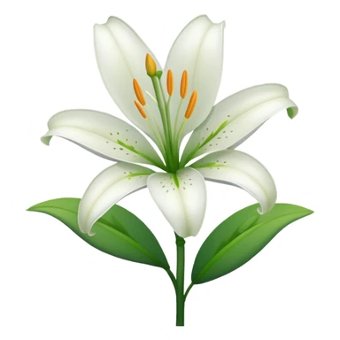 Lily flower sticker