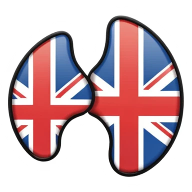 Minimalistic flat vector icon, iOS style, thin black contour on white background. Ear icon with sound waves and small UK/USA flag symbol. Clean, no text, no shadows sticker