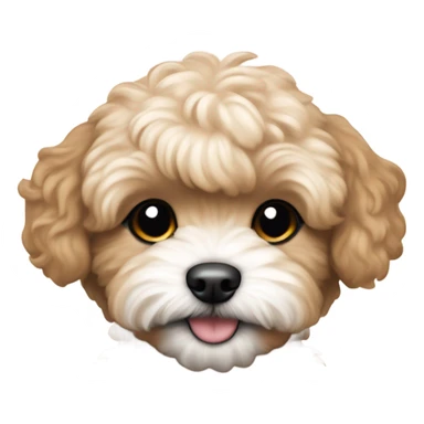 caramel brown maltipoo puppy sticker