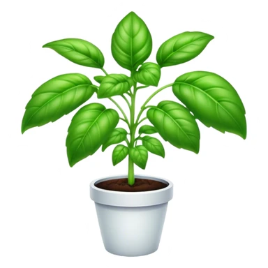 huile de basilic sticker