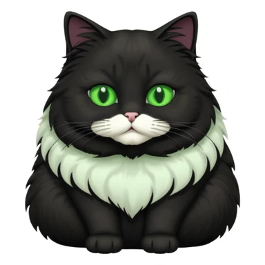 fat black long hair cat fluffy sitting with green eyes and white fur patch under face sticker