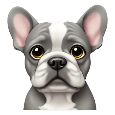 Grey Frenchie with one floppy ear sticker