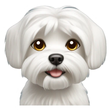 Maltese Dog Short Hair sticker