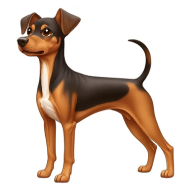 cachorro pinscher caramelo jogador de basquete sticker