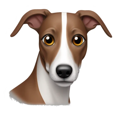 Red brown black striped whippet dog with white spots on face sticker