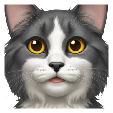 Long haired tuxedo cat with black nose sticker