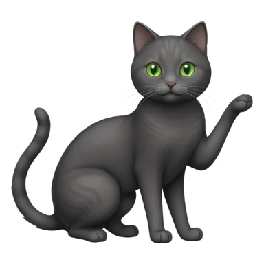 full body gorgeous solid dark grey cat with green eyes, white paws and white whiskers playing sticker