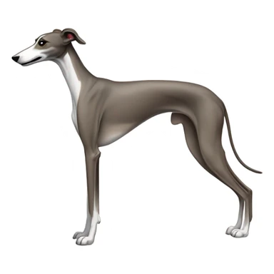greyhound sticker