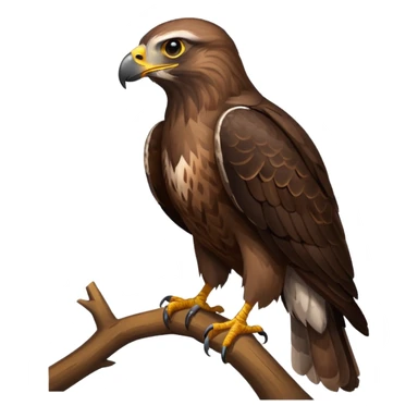 Common Buzzard sticker