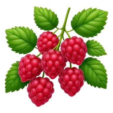 rasperry bush sticker