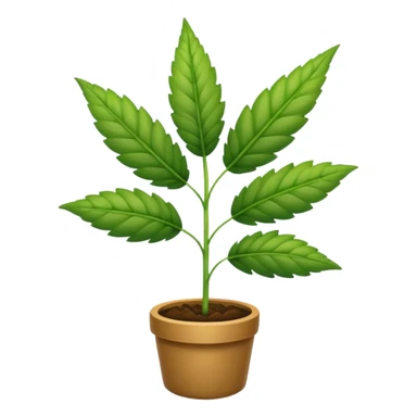 weed plant sticker