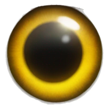 RO9 lotr eye sticker