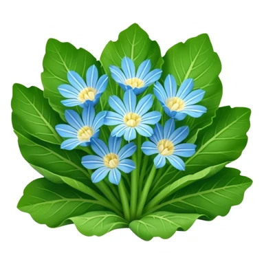 chicory leaves salad sticker