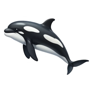 killer whale sticker