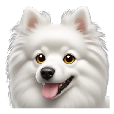 white and fluffy german spitz dog sticker