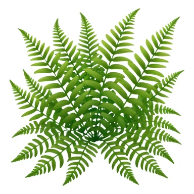 A cluster of soft green ferns growing under shaded trees. sticker
