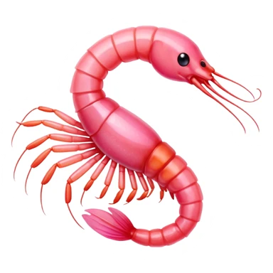 Sugar shrimp sticker