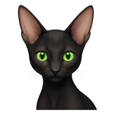 Black oriental shorthair sticker